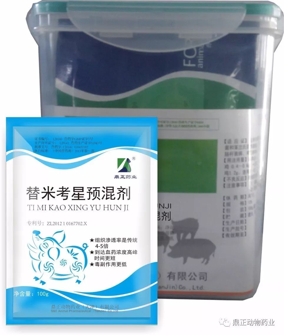 ���׿���